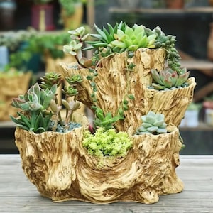 Puede incluir: Una jardinera de varios niveles con forma de tocón de árbol llena de varias suculentas. La jardinera es de color marrón claro con una apariencia texturizada similar a la madera. Las suculentas son una mezcla de verde, rojo y verde grisáceo.