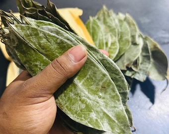 A Grade Soursop Dry Leaves | Natural Graviola Herbal Tea (Organic)