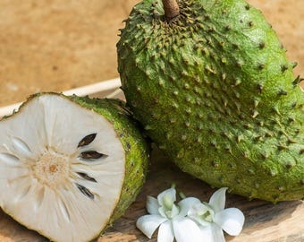 Fresh Soursop Seeds | Raw Graviola Seeds for Home Garden