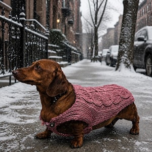 May include: A brown dachshund dog wearing a pink cable-knit sweater stands on a snowy sidewalk. The dog is facing left, with a button closure on the sweater. The background shows a city street with brown brick buildings and a wrought iron fence.