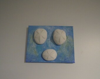 Bahamian Sea Biscuit Wall Art (by apresto) ALL NEW ORDERS will be shipped 4/15/2024