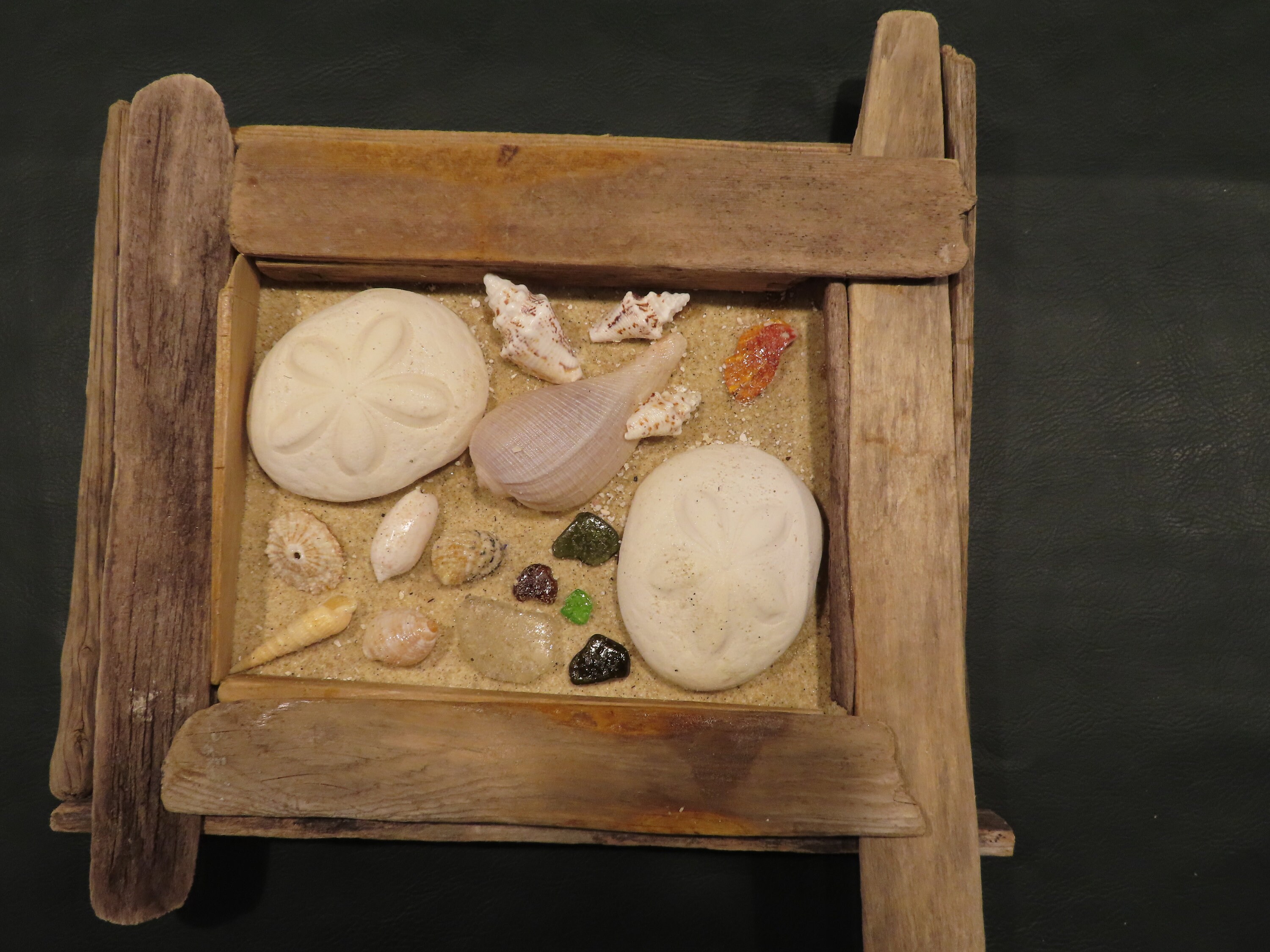 Bahamian Shell and Sea Glass Wall Art in Cape Cod Driftwood - Etsy