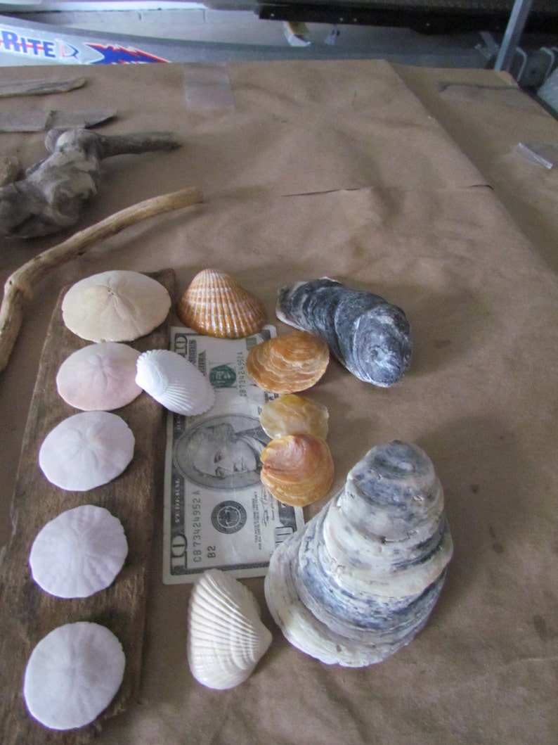 DIY Cape Cod Driftwood Wreath Kit Make Your Very Own Unique Driftwood