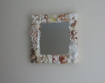 Shell Mirror Cape Cod and Bahamian Shells by apresto Free Shipping