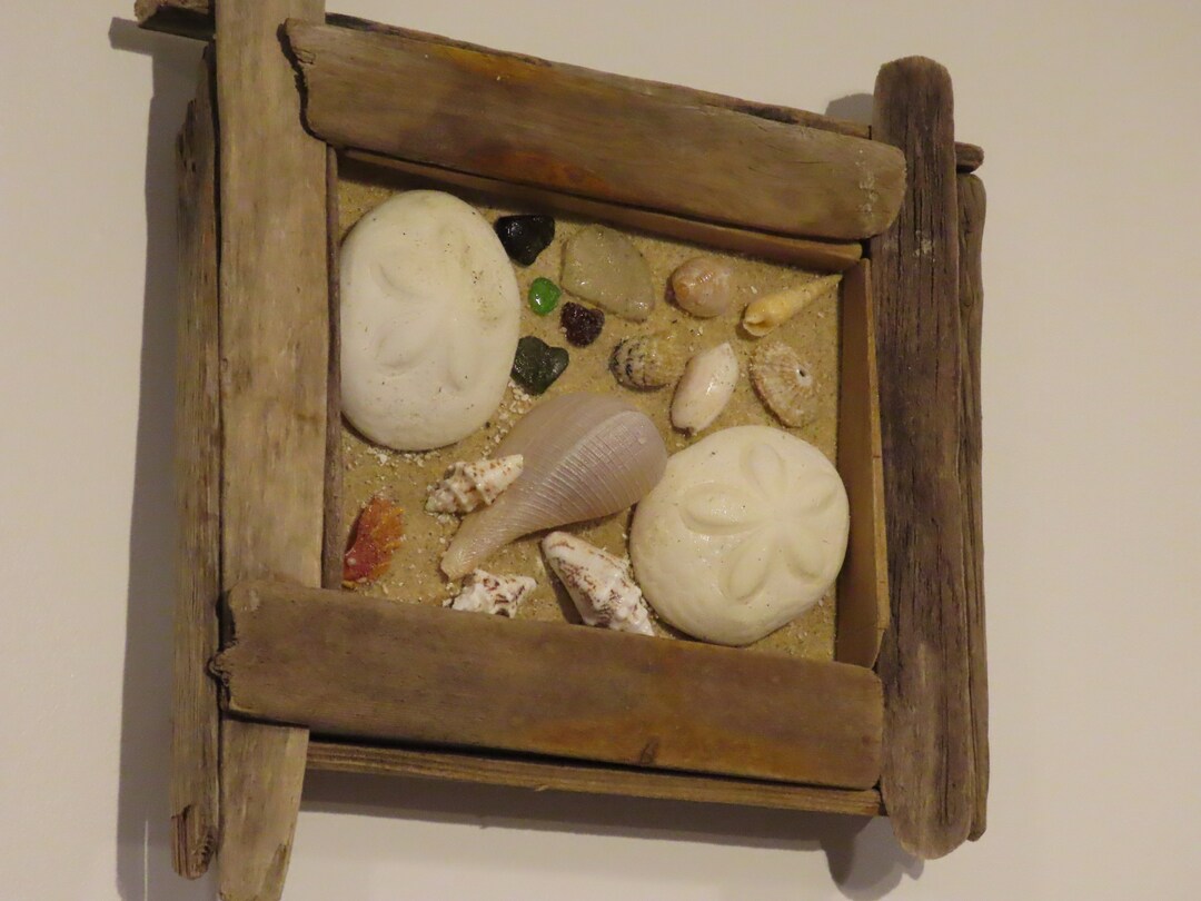 Bahamian Shell and Sea Glass Wall Art in Cape Cod Driftwood Frame by ...