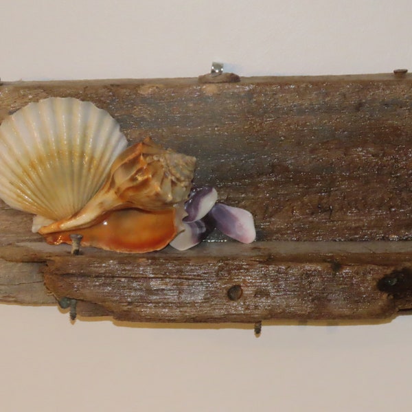 Driftwood Accent Decor "Treasure Shelf" with Nantucket Sound Treasures  (by apresto) Free Shipping