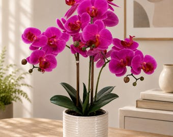 Dark Pink Artificial Orchid, 23 Inch Faux Phalaenopsis Plant, Real Touch Silk Flowers with Ceramic Pot, Realistic Bedroom Living Room Decor