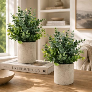 Set of 2 Artificial Eucalyptus Plants in Pots, Faux Greenery for Shelf Bathroom Desk Farmhouse Coffee Table Decor