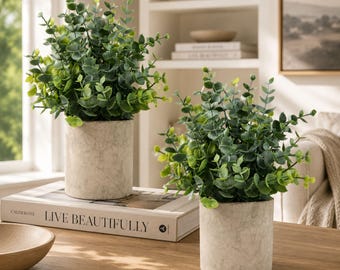 Set of 2 Artificial Eucalyptus Plants in Pots, Faux Greenery for Shelf Bathroom Desk Farmhouse Coffee Table Decor