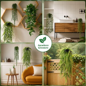 May include: A collection of artificial hanging plants featuring various green foliage styles, including string of pearls and ferns, displayed in indoor and outdoor settings. A central circular logo displays two leaves and the text Anywhere Greenery.