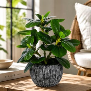 May include: A small artificial plant with glossy, dark green oval leaves and light green stems, potted in a round, textured charcoal gray ceramic container with vertical white distressed markings and a dark base.