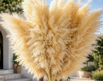 24 PCS Natural Dried Pampas Grass 40 Inch Tall Beige Boho Decor for Floor Vase Wedding Farmhouse Living Room Home Decoration
