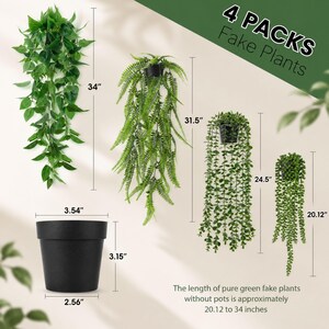 4 Pack Hanging Artificial Plants in Black Pots, Faux Eucalyptus Ivy Fern & String of Pearls for Boho Home Wall Decor image 2