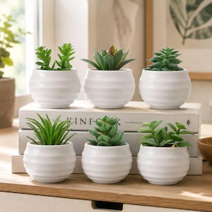 Set of 6 Artificial Succulent Plants in Pots, Mini Faux Cactus Greenery for Shelf Bathroom Office Desk Home Decor