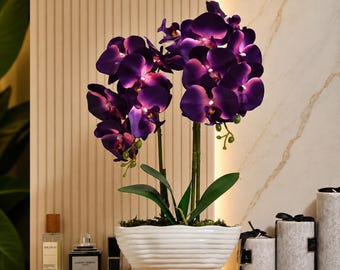 Artificial Orchid Arrangement, Dark Purple Faux Phalaenopsis in White Ceramic Pot, 17.7 Inch Silk Flowers, Elegant Table Centerpiece Decor