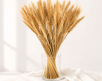100 Natural Dried Wheat Stalks for Vase Boho Farmhouse Decor Rustic Wedding Centerpieces Fall Harvest Thanksgiving Home Decor