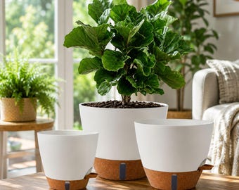Self Watering Plant Pots with Water Level Indicator, 8/10/12 Inch Modern Planters with Drainage for Indoor Outdoor Plants