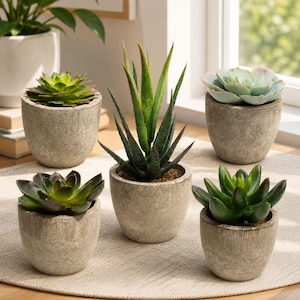May include: A collection of five artificial succulent plants in individual gray textured stone-like pots. The plants include a tall central aloe-style succulent surrounded by four smaller, varied green succulents with thick, fleshy leaves arranged in rosettes.