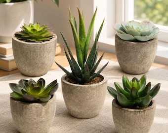 Set of 5 Artificial Succulent Plants in Pots, Mini Faux Potted Succulents for Office Desk, Shelf, Home Decor, Realistic Green Cactus