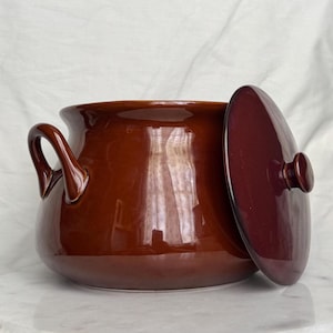 May include: A glossy, dark brown ceramic pot with a rounded body, two curved side handles, and a matching circular lid featuring a small central knob. The surface of the pot and lid has a smooth, reflective finish that catches the light.