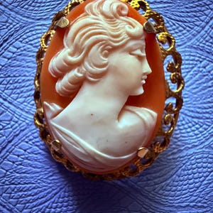 May include: An oval brooch featuring a cream-colored carved profile of a person against a solid orange background. The central cameo is encased in an intricate, openwork gold-toned metal frame with a textured, filigree-style border design.