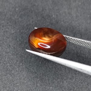 May include: A polished, oval-shaped gemstone with a deep reddish-brown color and swirling, translucent amber-toned inclusions. The stone is held by a pair of silver-toned metal tweezers, showcasing its smooth, rounded surface and reflective luster.
