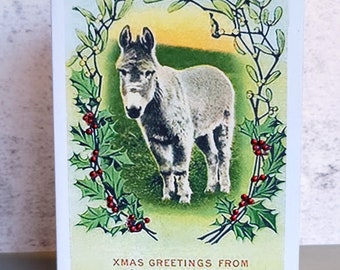 Merry Christmas From One Ass/Donkey to Another