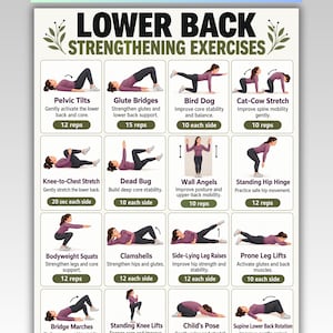May include: A digital poster titled Lower Back Strengthening Exercises featuring sixteen illustrated workout movements with text labels and repetition counts. The chart includes exercises like Pelvic Tilts, Glute Bridges, and Child's Pose for fitness routines.