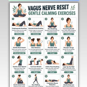 Könnte beinhalten: Eine digitale Übersicht mit dem Titel Vagus Nerve Reset Gentle Calming Exercises, die sechzehn nummerierte Illustrationen einer Person im türkisfarbenen Tanktop bei verschiedenen Atem- und Dehnübungen mit Anleitungen zeigt.
