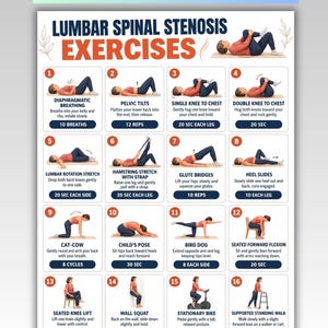 May include: A white informational poster titled Lumbar Spinal Stenosis Exercises featuring sixteen numbered illustrations of a person performing physical therapy movements, including breathing, stretches, and seated exercises with text instructions.