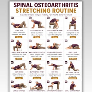 Könnte beinhalten: Eine digitale Übersicht mit dem Titel Spinal Osteoarthritis Stretching Routine, die 16 nummerierte Illustrationen einer Person in einem violetten Oberteil und beiger Hose bei verschiedenen Übungen mit Anleitungen und Wiederholungen zeigt.