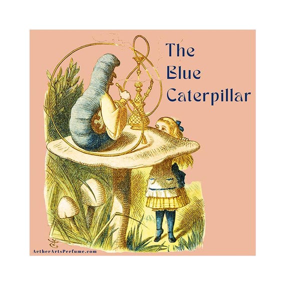 The Blue Caterpillar. A Fruity-Tobacco and Mushroom perfume based on Alice in Wonderland. Featuring: Rose, Sandalwood, Vanilla, Moss, Amber