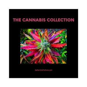 Cannabis-Inspired Perfume, Sample Set: Reefer Madness, Holy Hemp, Incense Indica, A Roll in the Grass, Perfume 420, High Country