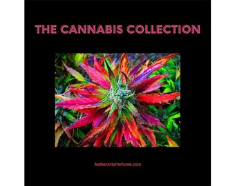 Cannabis-Inspired Perfume, Sample Set: Reefer Madness, Holy Hemp, Incense Indica, A Roll in the Grass, Perfume 420, High Country
