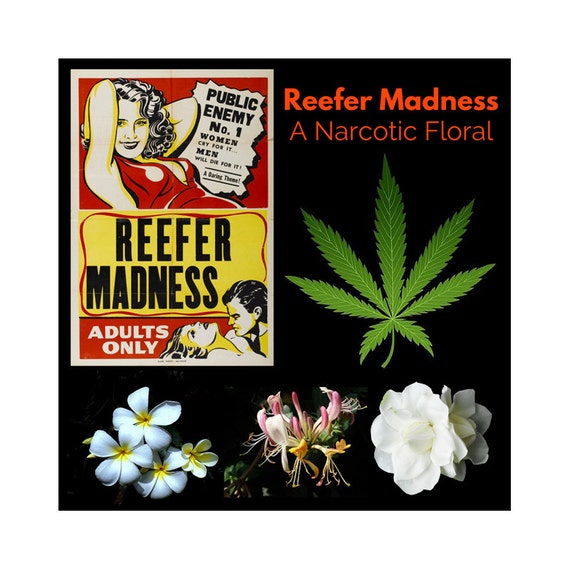 Reefer Madness: A Narcotic Floral Perfume Oil featuring Scents of Cannabis, Gardenia, Honeysuckle, and Jasmine, Heady, Lush, and Seductive!