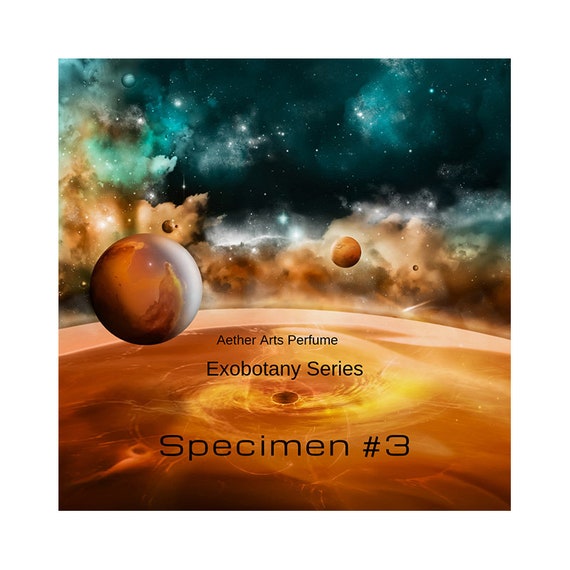 Specimen #3: an abstract, floral from the Trappist-1 planetary system. Botany from beyond the stars, imaginary plants from distant worlds!