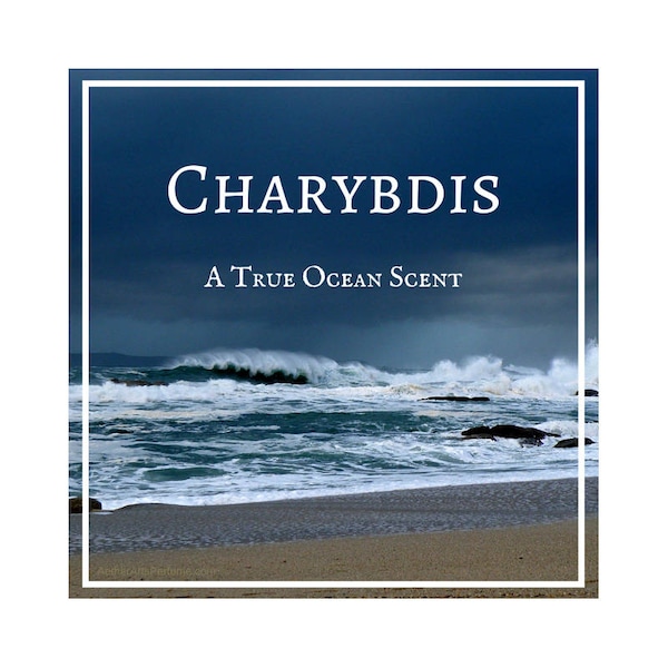 Charybde : Esprit de l'Océan, Parfum de la Mer, Ozone, Huile de Parfum Marin, Brouillard Salin, Algues, Bois Flottés, Vagues aux Coiffes Blanches.