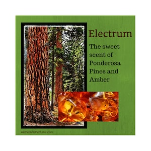 May include: A close-up of amber stones, with a background image of tall Ponderosa pine trees. The text "Electrum" is written in black, followed by "The sweet scent of Ponderosa Pines and Amber".