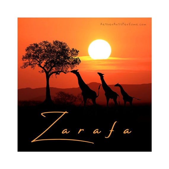 Zarafa, a Giraffe-inspired, Animalic-Foral perfume with notes of  Bergamot, Orange, Honey, Orange Blosson, Jasmine, Saffron, Turmeric, Musk