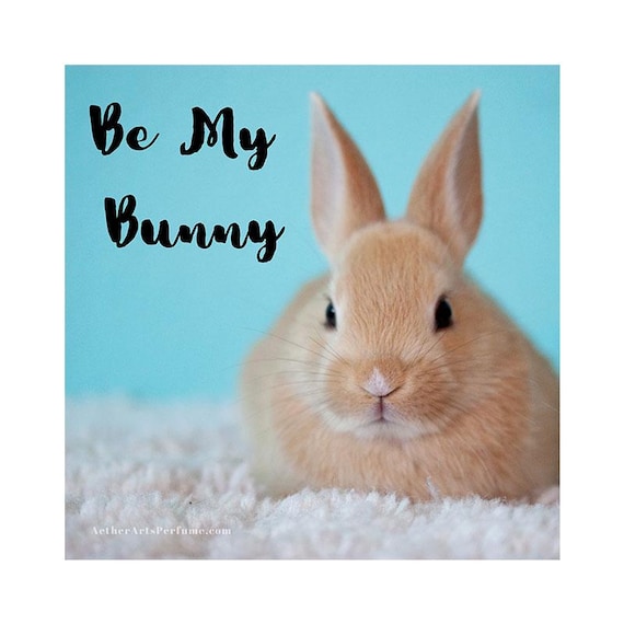 Be My Bunny, a Creamy, Coconut Musk with notes of: Sheer Jasmine, Toasted Coconut and the Softest, Warmest, Bunny Fur Musk Accord Ever!