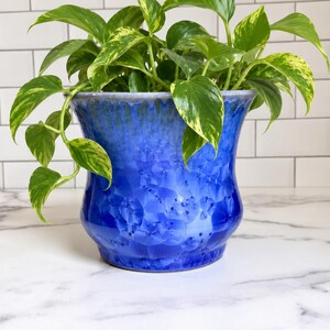 May include: A vibrant cobalt blue ceramic planter with a crystalline glaze finish featuring a flared rim and a rounded body. The planter contains a lush pothos plant with variegated green and yellow heart-shaped leaves cascading over the sides.