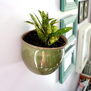 May include: A wall-mounted, semi-circular, green ceramic planter holding a small houseplant with green and yellow speckled leaves. The planter is mounted on a light purple wall, with framed pictures in the background.
