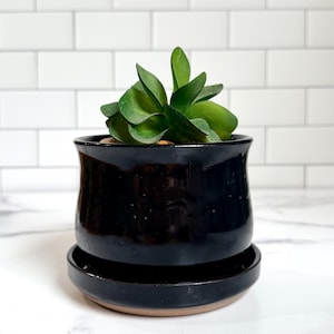 Puede incluir: Una pequeña maceta de cerámica negra brillante con un plato circular a juego. La maceta presenta un borde ligeramente ensanchado y contiene una planta suculenta verde con hojas gruesas y redondeadas. La base revela un color arcilla natural.