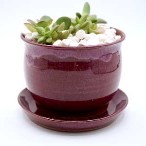 May include: A burgundy ceramic planter with a matching saucer, filled with small white stones and green succulents. The pot has a rounded shape and a glossy finish, perfect for indoor plants. The succulent arrangement adds a touch of natural beauty.