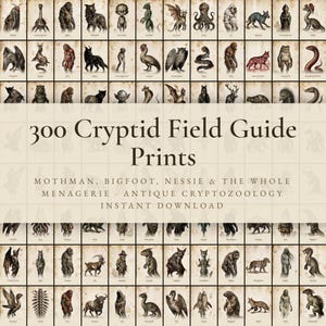 Puede incluir: Una cuadrícula de 300 ilustraciones individuales de críptidos sobre fondos de papel envejecido. El texto central dice 300 Cryptid Field Guide Prints, Mothman, Bigfoot, Nessie & The Whole Menagerie, Antique Cryptozoology, Instant Download en color marrón oscuro.