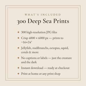 以下が含まれることがあります： WHAT'S INCLUDED 300 Deep Sea Printsというタイトルの情報グラフィック。4000 x 6000 pxの高解像度JPGファイル300点（約40 x 60 cmまで印刷可能）を掲載。クラゲ、ウミウシ、タコ、イカ、サンゴなどの画像が含まれています。