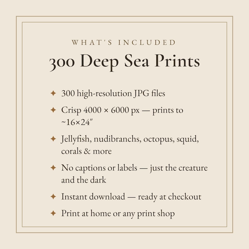 以下が含まれることがあります： WHAT'S INCLUDED 300 Deep Sea Printsというタイトルの情報グラフィック。4000 x 6000 pxの高解像度JPGファイル300点（約40 x 60 cmまで印刷可能）を掲載。クラゲ、ウミウシ、タコ、イカ、サンゴなどの画像が含まれています。