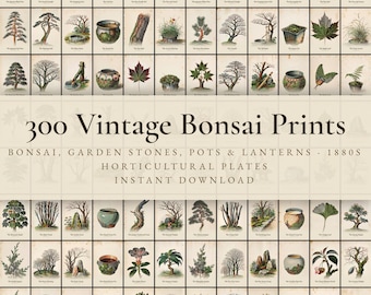 300 Vintage Bonsai Prints | Japanese Garden, Maple, Pine & Zen Botanical Wall Art Set | Printable | Digital Download