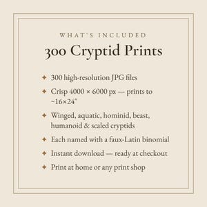 Op de afbeelding: Een digitaal productoverzicht getiteld 300 Cryptid Prints. Het bevat 300 JPG-bestanden met hoge resolutie van 4000 x 6000 px, afdrukbaar tot ongeveer 40 x 60 cm. Bevat gevleugelde, aquatische, hominide, beestachtige en humano&iuml;de cryptiden.