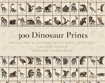 300 Vintage Dinosaur Prints | Antique Paleontology Skeleton & Reconstruction Wall Art | Nursery, Dark Academia Printable | Digital Download